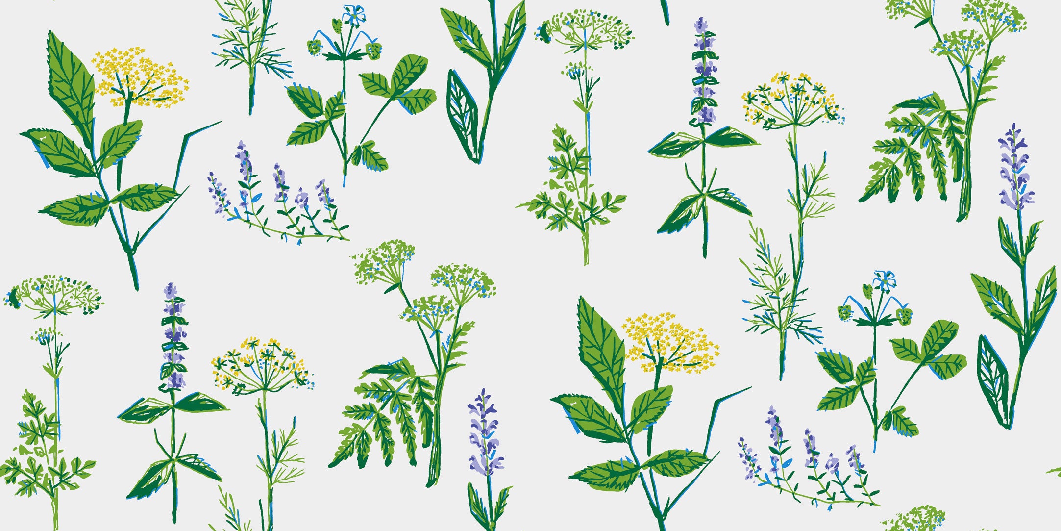 Köksväxter, vit/grön