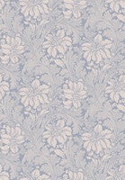 Acanthus storblommig, blå/beige