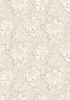 Acanthus storblommig, beige