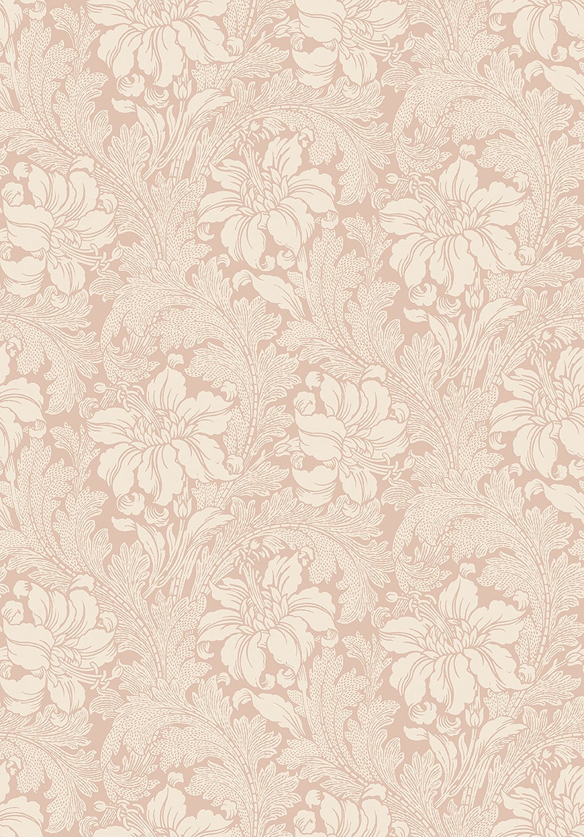 Acanthus storblommig, beige/dovt rosa