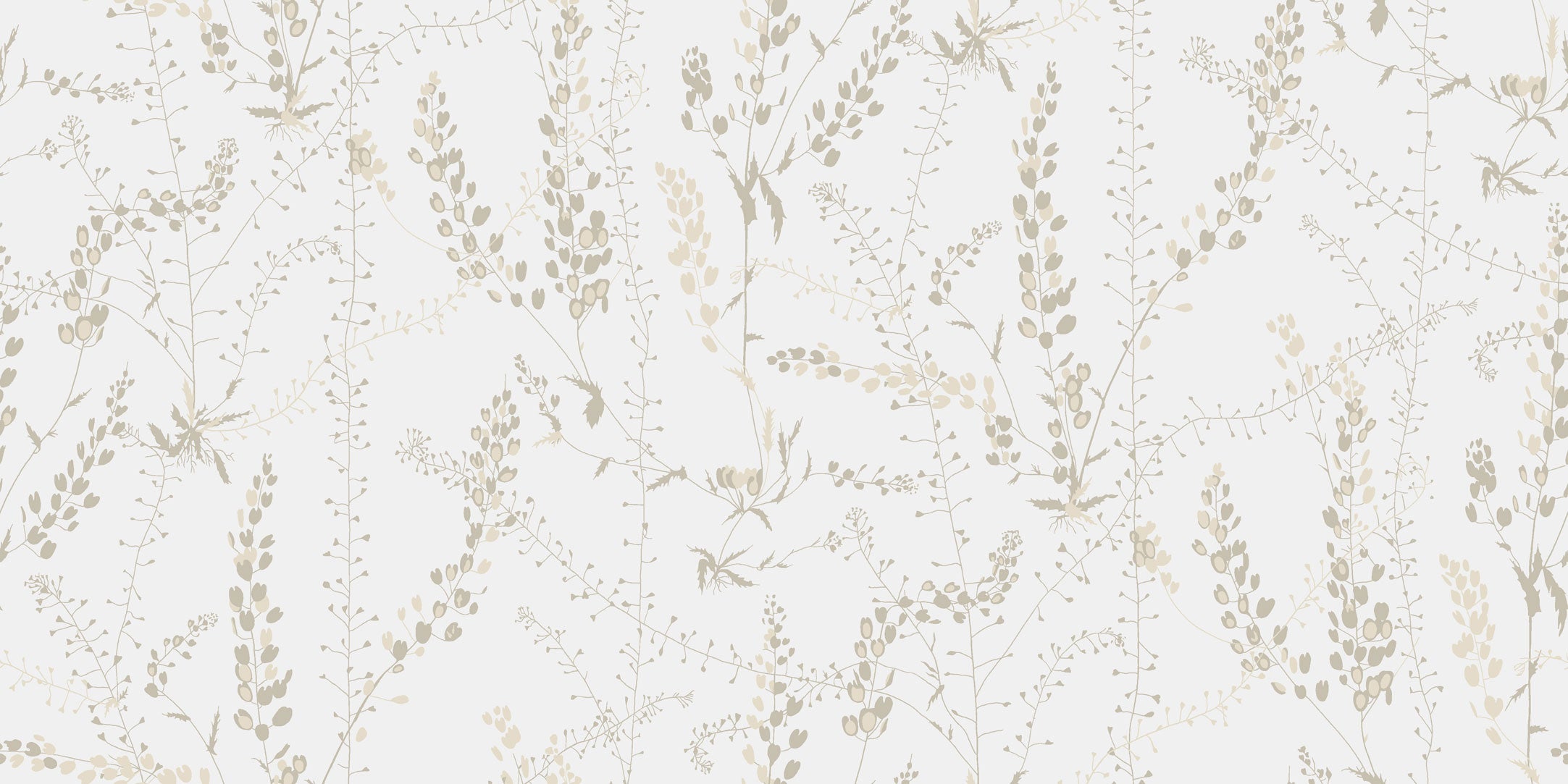 Bladranker, vit/beige