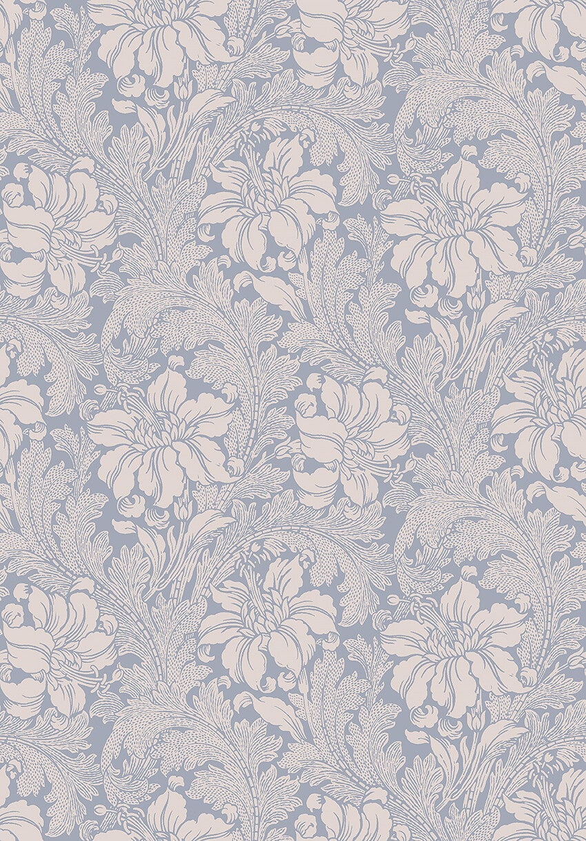 Acanthus storblommig, blå/beige