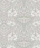 African Marigold, grå tapet