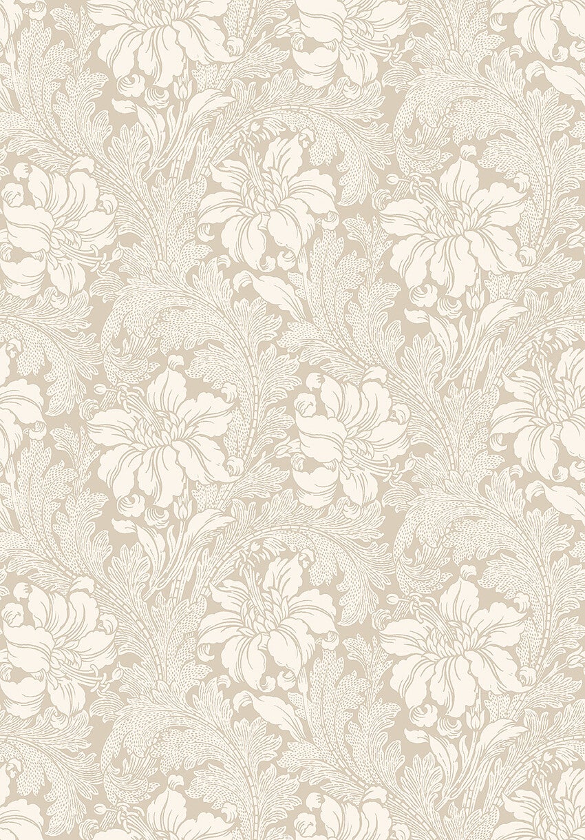 Acanthus storblommig, beige
