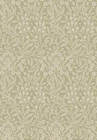 Kryddhyllan, grön tapet